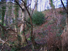 
Cwmcarn dam, scene of the infamous 1875 disaster, December 2008